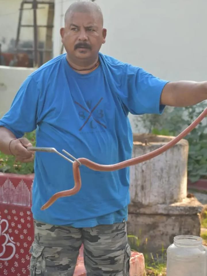 1544ead5 eaf3 4075 9f8c 57e883c90238