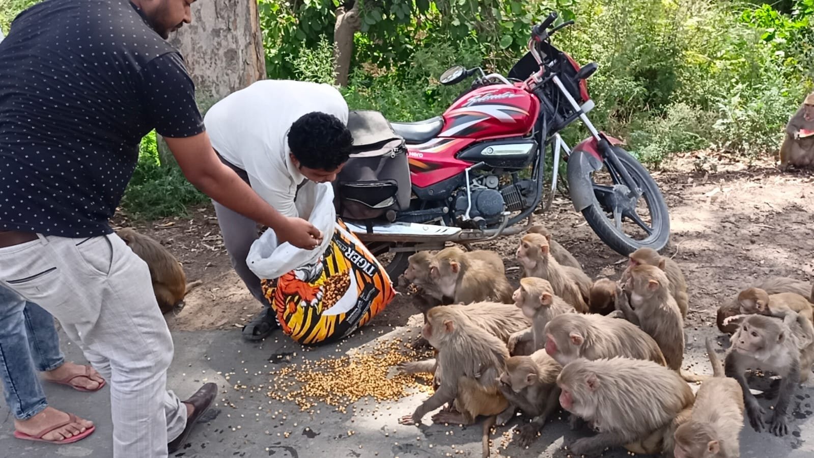 19f6adfa 2841 4dd8 aad3 341a9ed45c3e