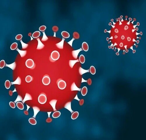 IMG 20200412 144527 1