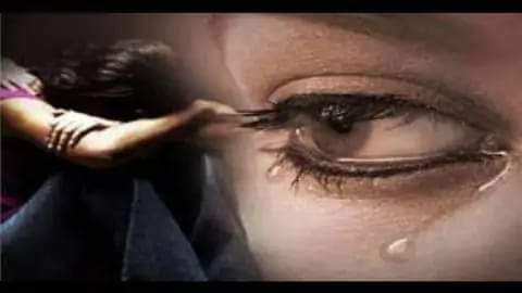 FB IMG 1607095386548 1