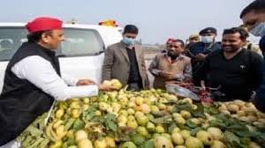 140619815 1523413427863716 3199622635692604326 n 1