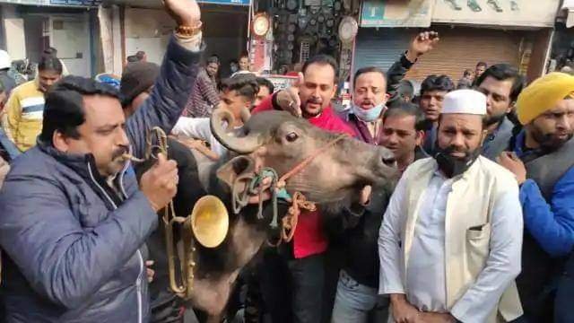 FB IMG 1611250449472 1