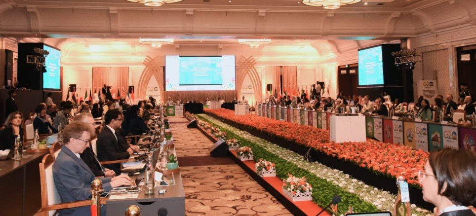 स्वास्थ्य क्षेत्र की प्राथमिकताओं के कई पहलुओं पर विचार-मंथन सत्र हुए 5 2WPFH