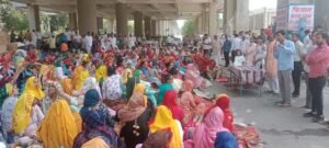 e18e955d 3a5c 43eb 9563 a8d7db2d5856