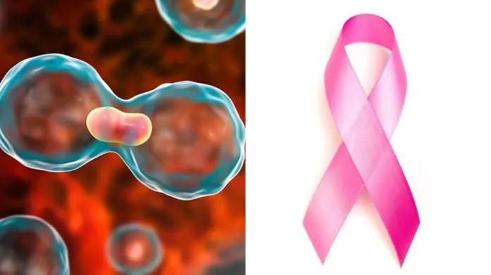 शरीर में ये बदलाव हैं कैंसर के संकेत,भारी पड़ेगी अनदेखी 1 cancer