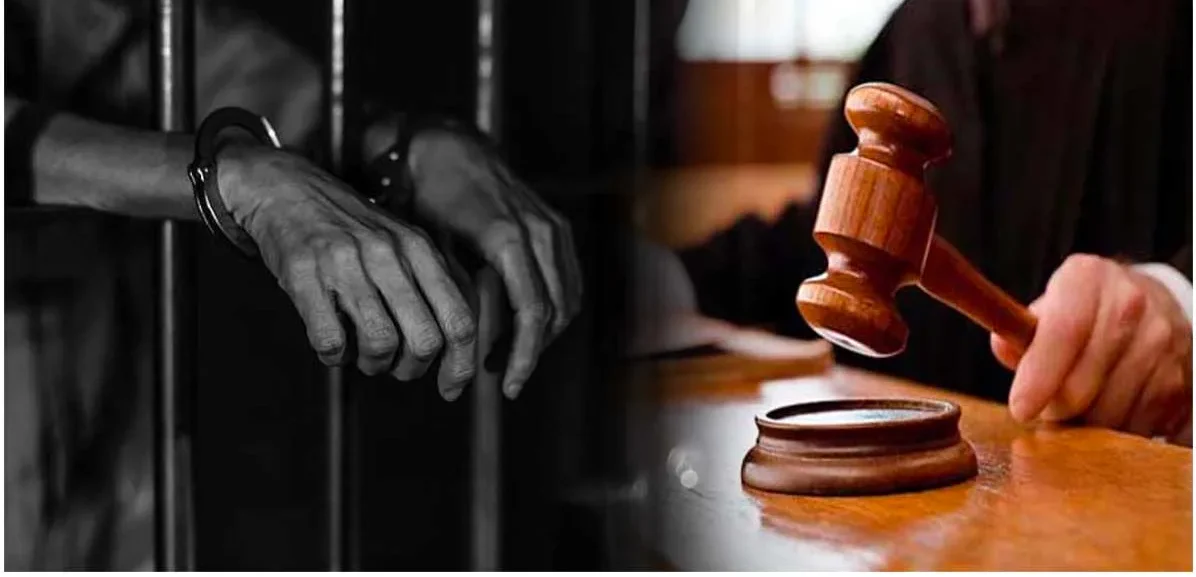 कोर्ट ने सजा सुनाई 1 1 1 e1714493874315