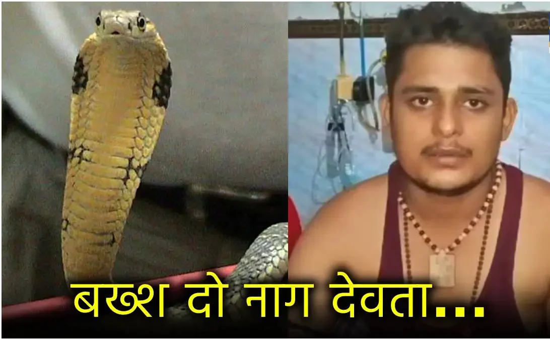 बदला लेने पर उतरा सांप युवक को महीने में 5 बार डसा बचने को रिश्तेदारी में गया वहां भी काटा 1 News24 1 11 1 e1719945472493