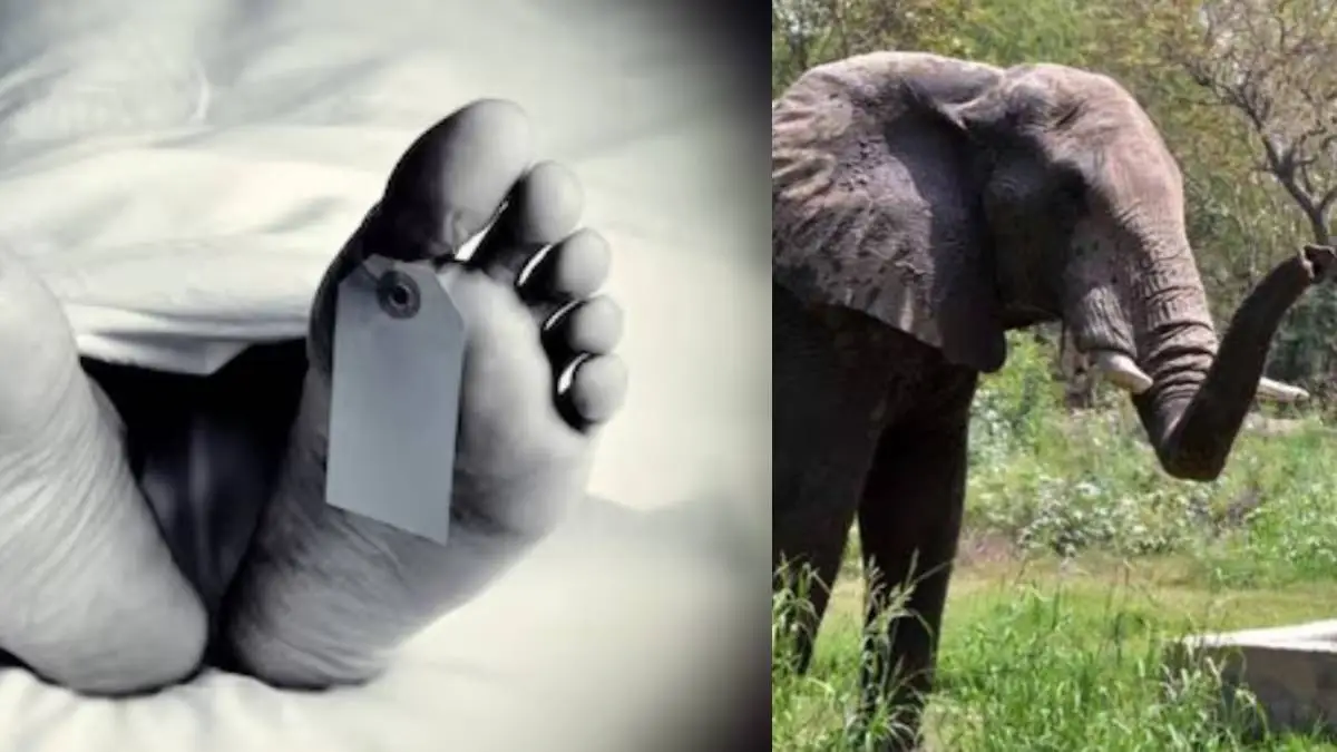 Template For N24 4 10