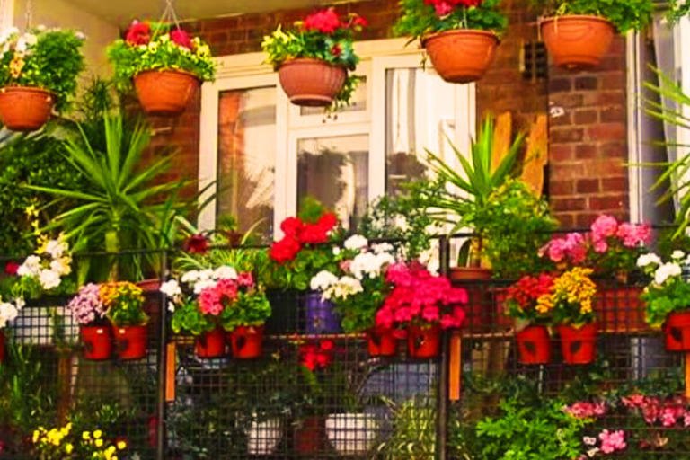 पुणे की दुखद घटना के बाद, लखनऊ बाल्कनियों पर फूल के गमले प्रतिबंधित कर दिए ताकि घातक दुर्घटनाओं को रोका जा सके। 1 AA1F6Jr9