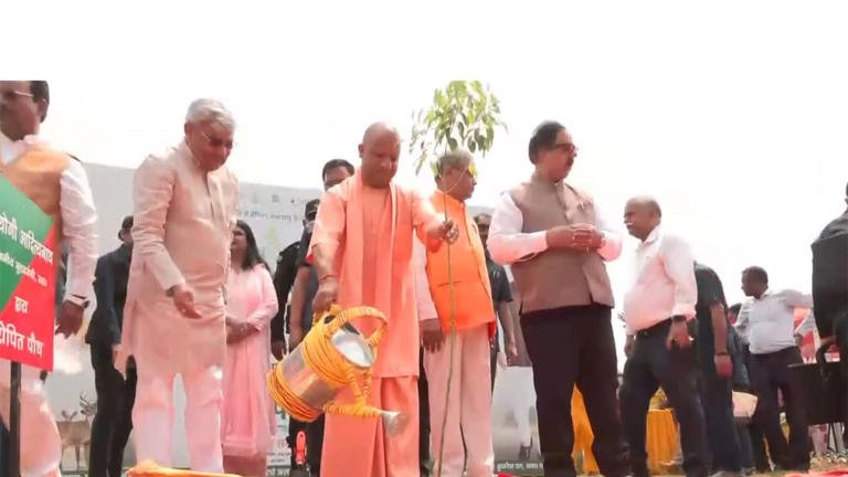 Yogi