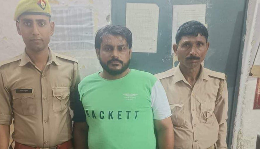 99c4c5b6 93a6 4146 8bf9 a29f4dce3474