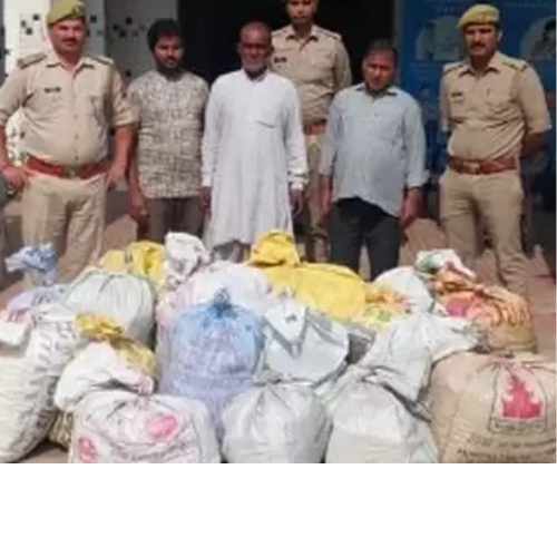 Untitled design 100 1