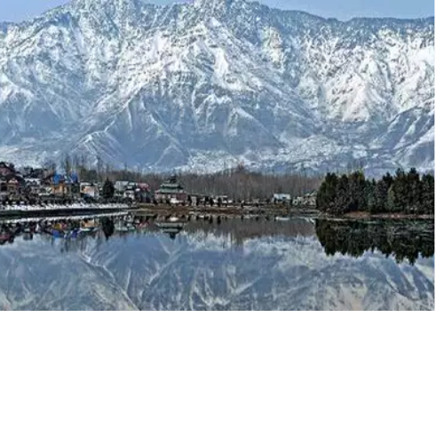 Untitled design 2022 03 10T141240.670