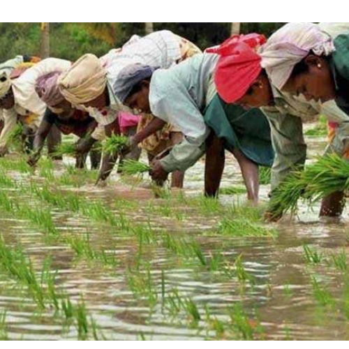 Untitled design 2022 03 11T182635.787