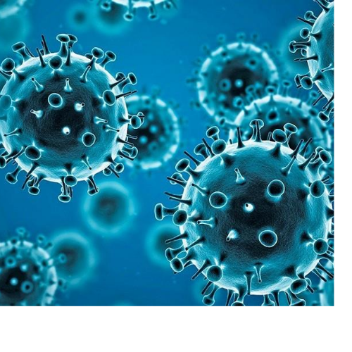 Untitled design 2022 03 12T145453.524