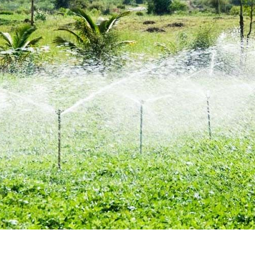 Untitled design 2022 03 16T215143.766