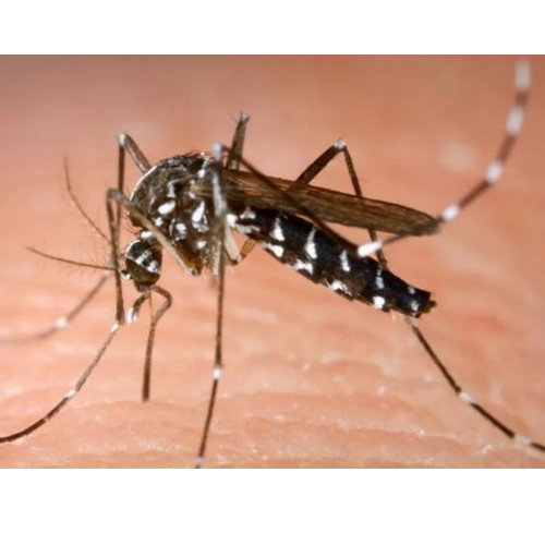 Untitled design 2022 03 23T195205.205