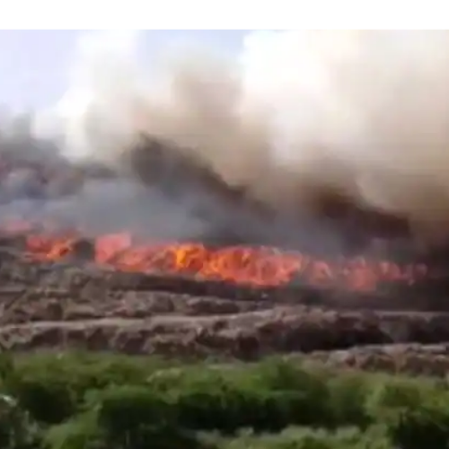 Untitled design 2022 03 29T232548.722