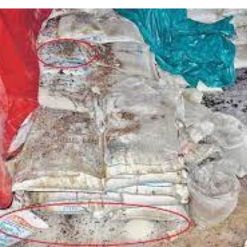 Untitled design 2022 04 01T180327.456