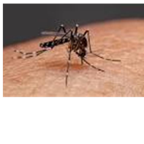 Untitled design 2022 04 06T001550.786