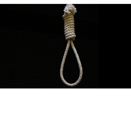 नागपुर में 13 साल की लड़की ने मौत पर कविताएं लिखने के बाद लगाई फांसी 1 Untitled design 2022 04 06T002431.612