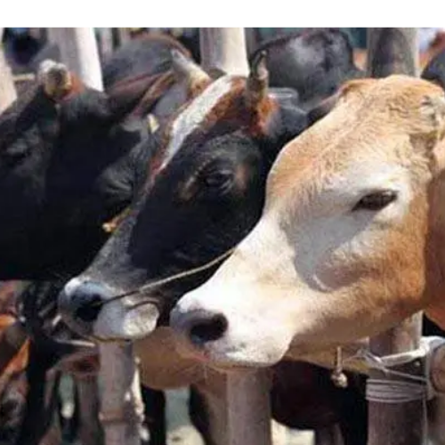 Untitled design 2022 04 09T230627.447