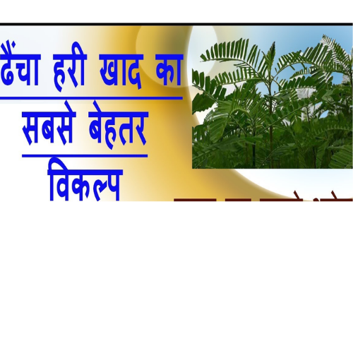 Untitled design 2022 04 12T181823.509