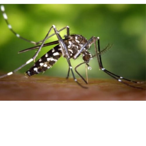 Untitled design 2022 04 12T221636.030