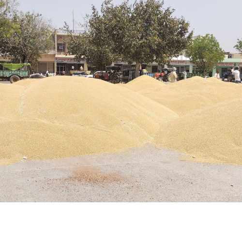 Untitled design 2022 04 23T203104.612