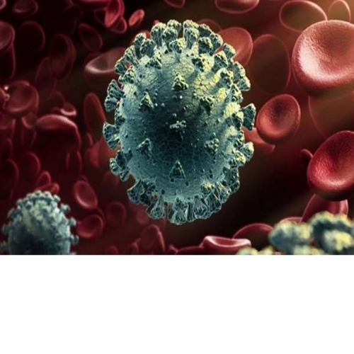 देश में कोरोना के 2,541 नये मामले 1 Untitled design 2022 04 25T225511.287