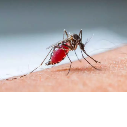 Untitled design 2022 04 26T212413.957