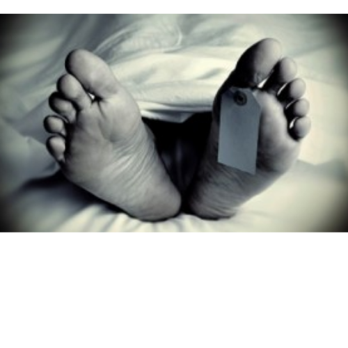 Untitled design 2022 04 29T223650.458