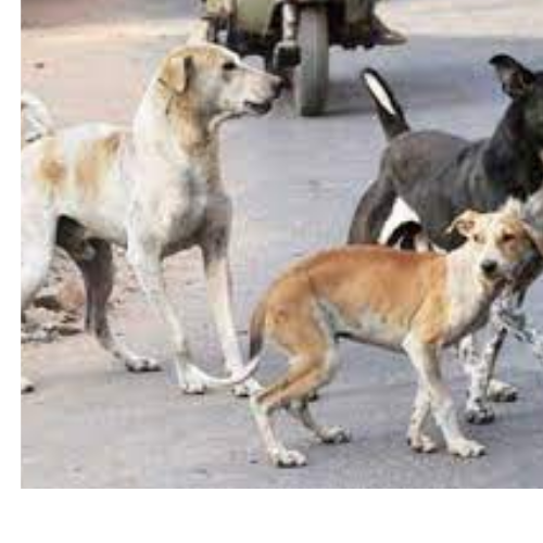 Untitled design 2022 04 30T173031.307