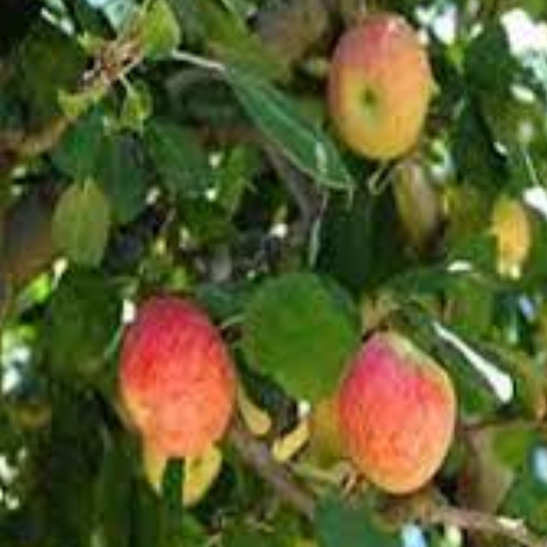 Untitled design 2022 05 07T184224.395