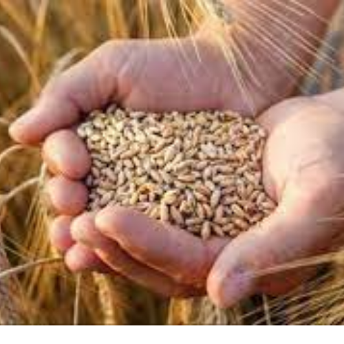 Untitled design 2022 05 14T180042.534