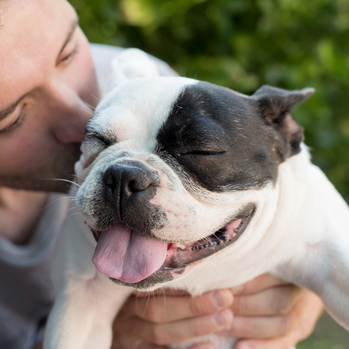 Untitled design 2022 05 16T224703.943