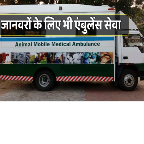 अगले माह से देश में पशुओं के लिय मुफ्त एंबुलेंस सेवा 1 Untitled design 2022 05 22T223725.433