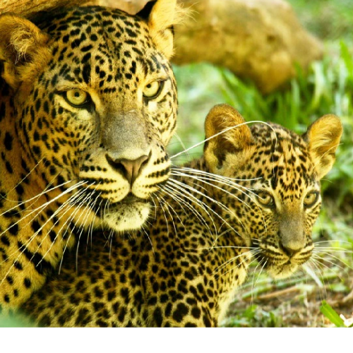 Untitled design 2022 05 23T170846.736