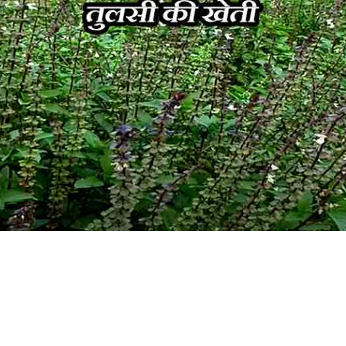 Untitled design 2022 05 27T233803.921