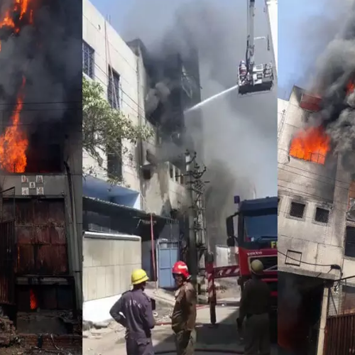 Untitled design 2022 06 01T025605.740