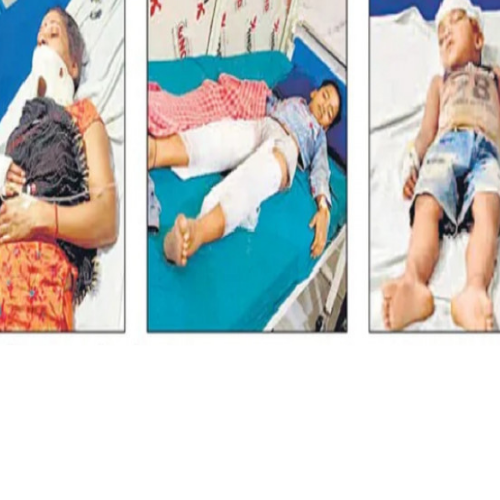 Untitled design 2022 06 01T030629.300