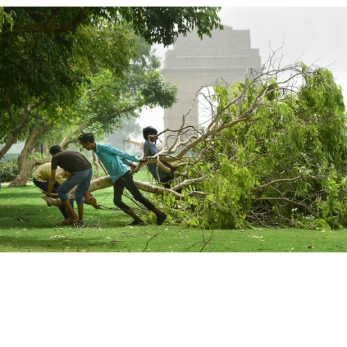 Untitled design 2022 06 01T031840.703