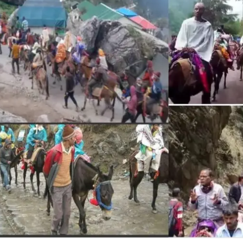 Untitled design 2022 06 02T170805.997