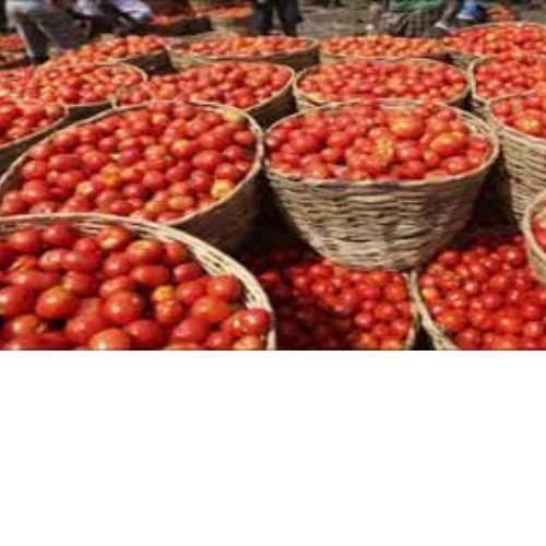 Untitled design 2022 06 03T150241.831