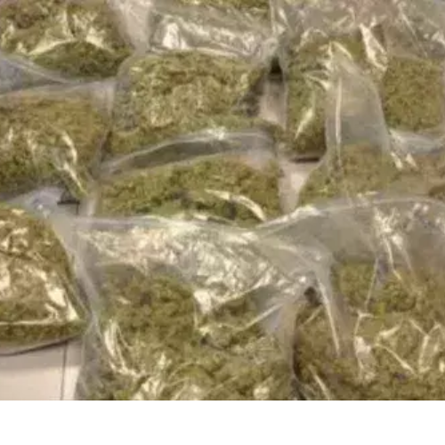 गांजा बेचने के आरोप में आठ लोग गिरफ्तार 1 Untitled design 2022 06 05T001324.108