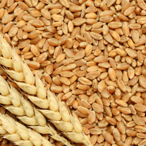 Untitled design 2022 06 11T152901.228