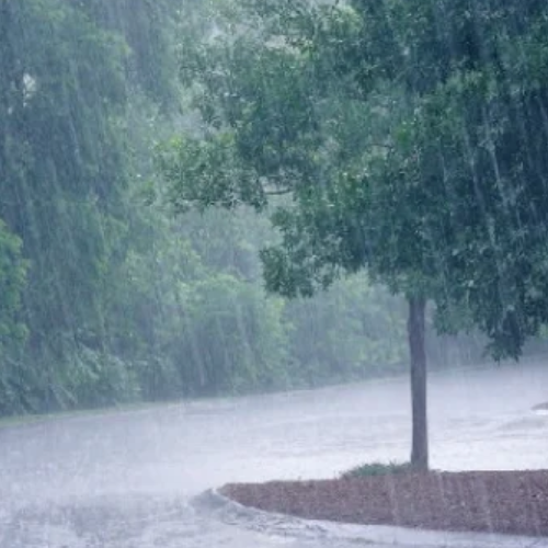 चेरापूंजी में 811.6 मिमी बारिश, 27 साल में जून की सर्वाधिक वर्षा 1 Untitled design 2022 06 15T192603.464