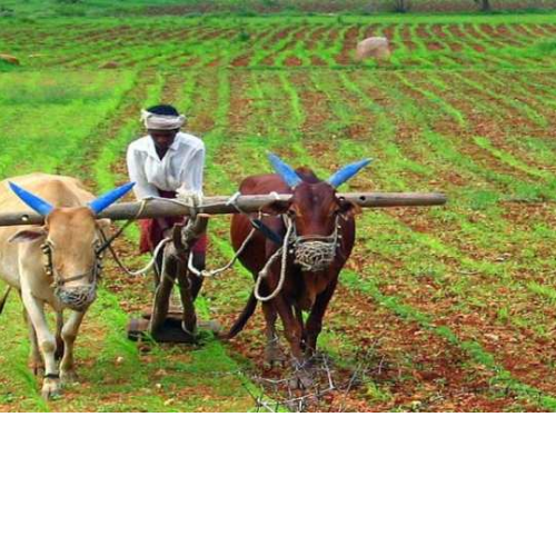 Untitled design 2022 06 26T235847.311