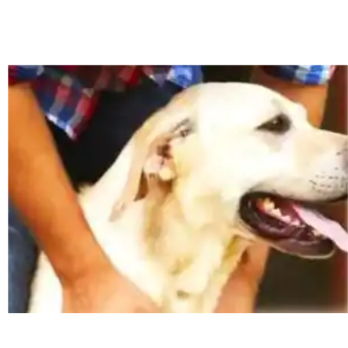 Untitled design 2022 07 05T142646.324