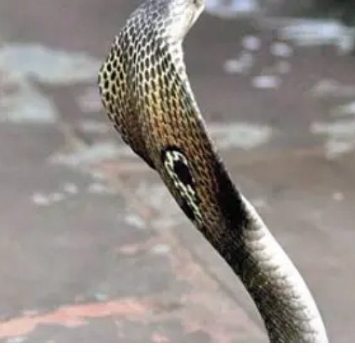 Untitled design 2022 07 08T181718.163